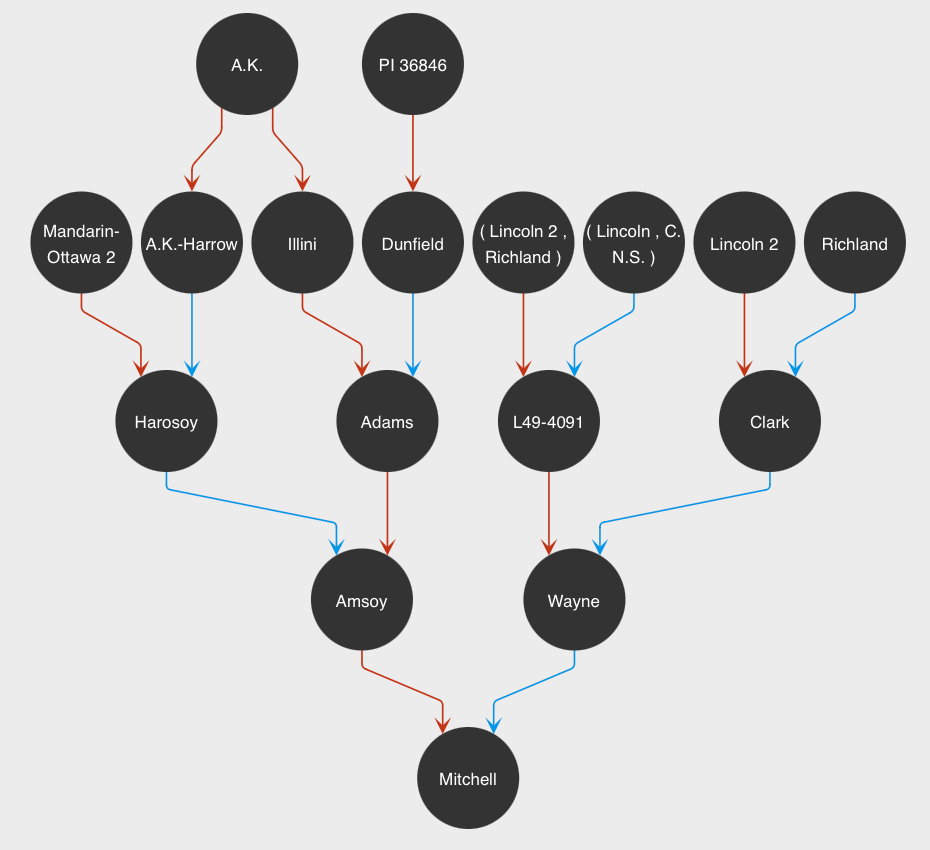 Image: Pedigree for soybean cultivar Mitchell